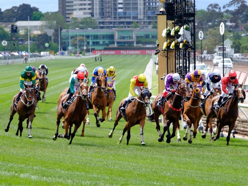 Melbourne Cup 2021 Betting Tips & Predictions