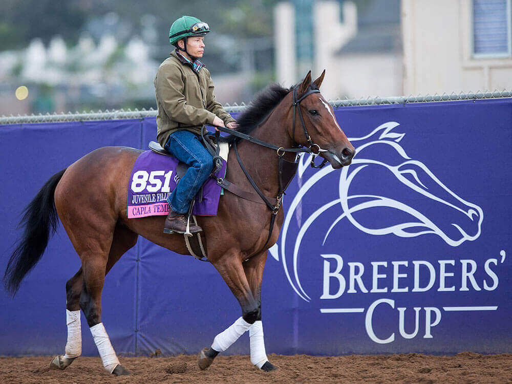 2021 Breeders’ Cup Betting Tips & Predictions