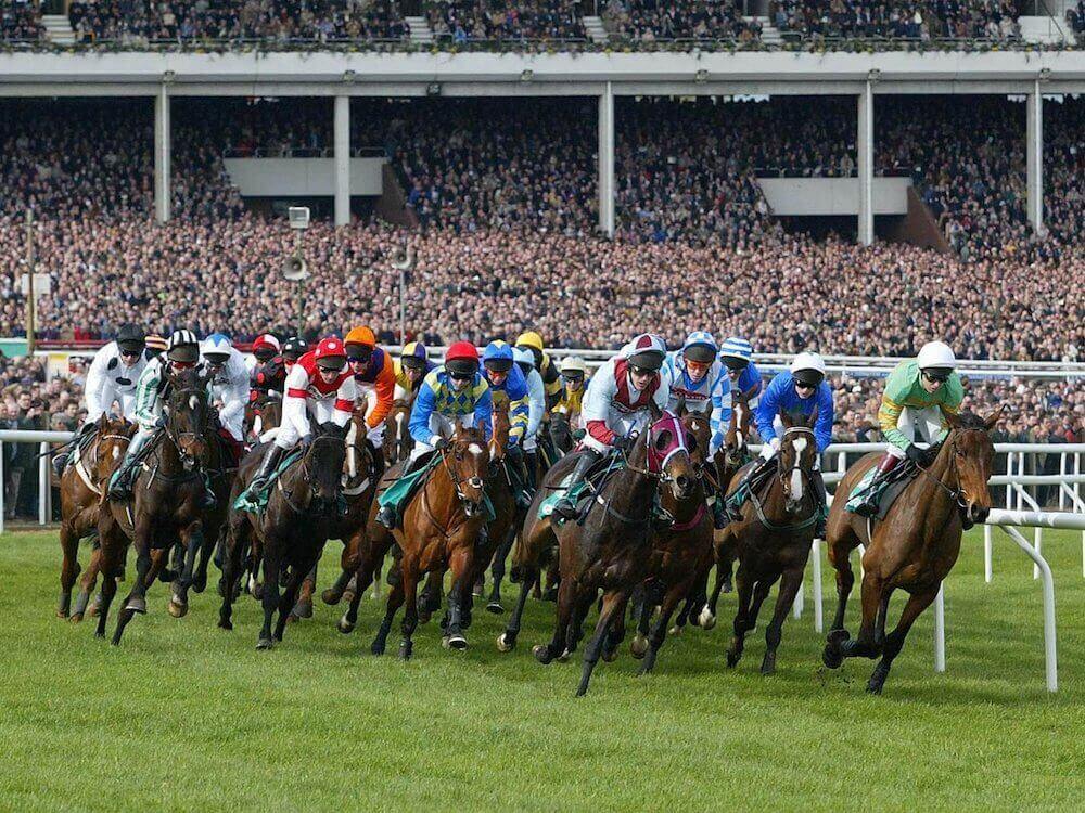 2022 Cheltenham Festival (Horse Racing) Betting Tips & Predictions
