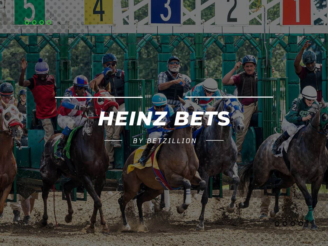 Detailed Guide to How Heinz Betting Works