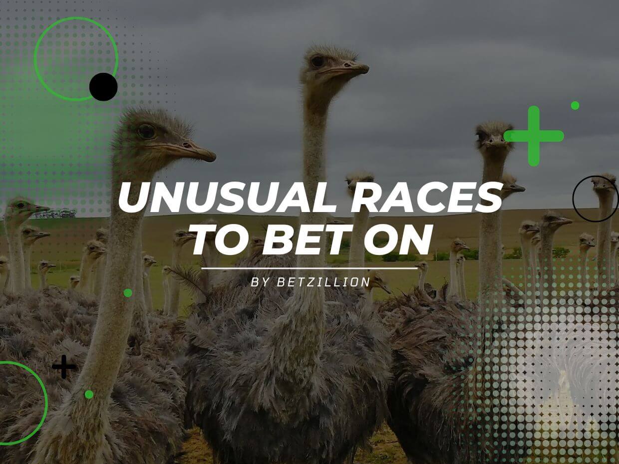 Most Unusual Races to Bet On